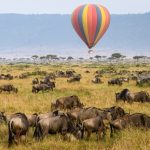 Hot Air Balloon Safari in Kenya
